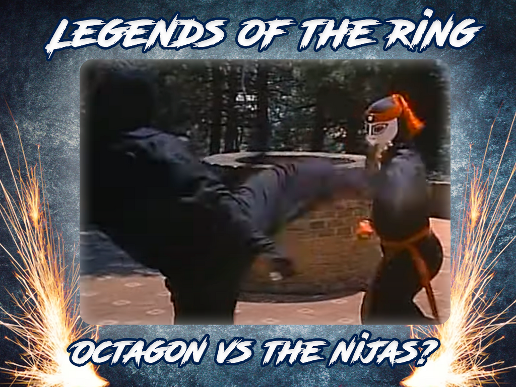 Why does Octagon fights against ninjas?