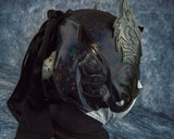 Dragon Lee Semipro Wrestling Luchador Mask